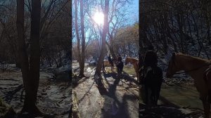 Поиски истины