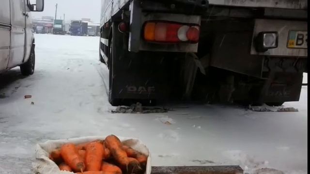 Рынок в Копанях в январе смотреть онлайн