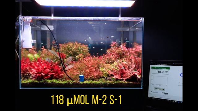 Twinstar 600SP III VS Ledstar AQ Z Series 60