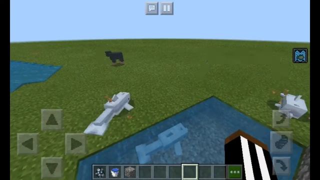 5 фактов о дельфинах в майнкрафт смотреть онлайн