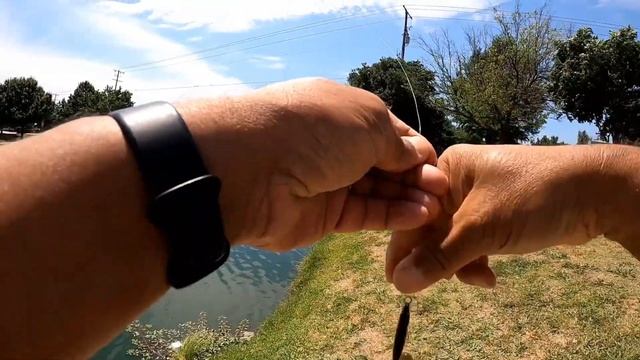 Try a Rapala X-Rap for Ultralight Bass Fishing! Backlash Is No Problem 😎😎😎 смотреть онлайн
