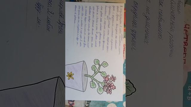 Доклад про герань💥