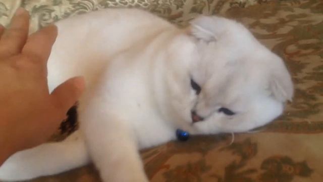 Милкуша Моздок смотреть онлайн