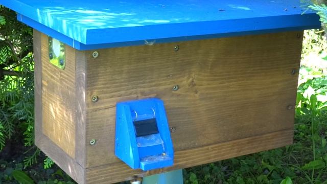 Čmeliak zemný - Bombus terrestris смотреть онлайн