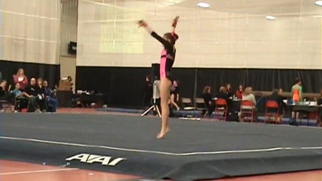 Jaylene Everett 2011 PA Level 8 States Floor Spirit Gymnastics смотреть онлайн