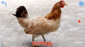 Мультик Игра про Животных