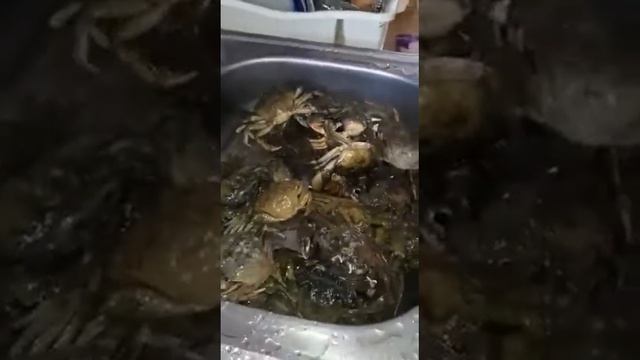 Мы спаймали крабов пожарили их и ели. смотреть онлайн