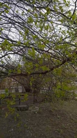 17.04.2025 г., ЧТ_Отдых и восстановление, полное расслабление и адаптация к новым нагрузкам!