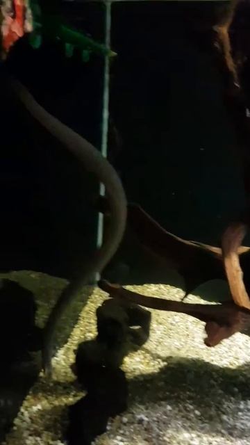 สวยๆ смотреть онлайн