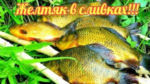 Жёлтый карась в сливках!!! Пальчики оближешь!!!