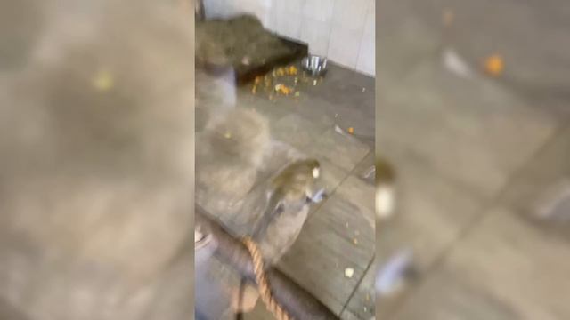 Зимний влог с Екатеринбурга
Четвертая часть