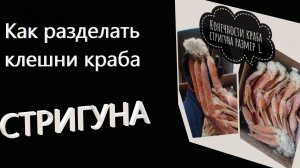 Как разделать клешни краба