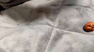 прохожу игра в кальмара 2 игра понтатлон 1 часть