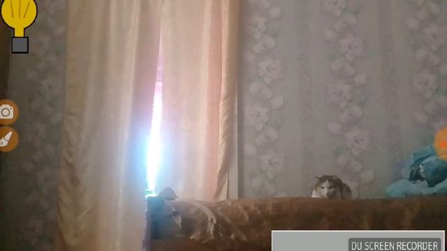 Ёжик русский ёжик смотреть онлайн