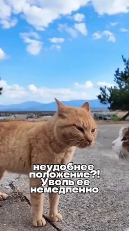 😂 Уволь её 😡 Немедленно
