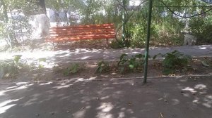 ЗАПОРОЖЬЕ КРЫСИНЫЙ ПОМЕТ 26.09.23