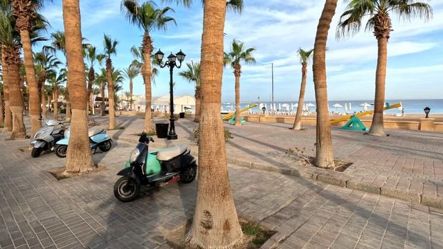 Апрель 2025, Сахль - Хашиш