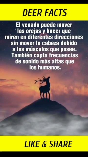 DATOS INCREÍBLES DE LOS CIERVOS EN 2023 🌡️ #shorts #viral смотреть онлайн