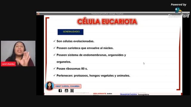 RUMBO AL ENAOBS - SALUD SEXUAL Y REPRODUCTIVA: Biología смотреть онлайн