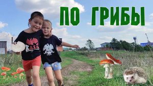 По грибы