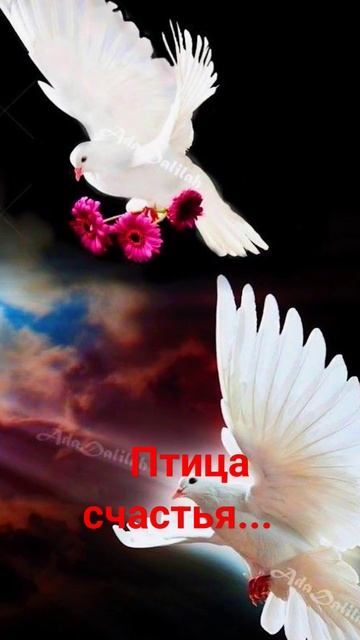 Птица счастья... смотреть онлайн