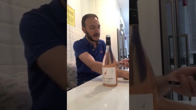 Vídeo cata del vino rosado Quinta de Aves rosé cabernet franc y graciano VT de Castilla Bodega Quin смотреть онлайн