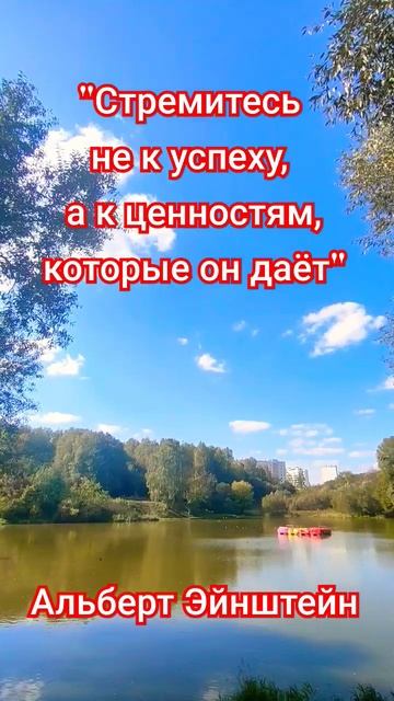 мудрость мысли смотреть онлайн