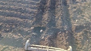 16 апреля.Посадила лук,морковь,буряк красный,три ряда кустовых кабачков.О жизни моей деревенской.