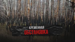 ОБСТАНОВКА В КРЕМЕННОЙ