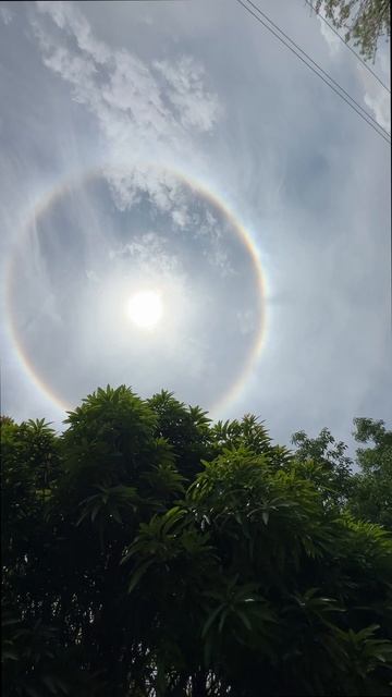 Sun Halo Phenomenon in Jamaica | Spectacular Natural Display #youtubeshorts #jamaica #sunhalo смотреть онлайн