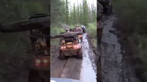 Обычный день президента России.