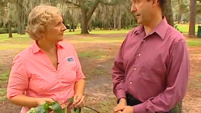 Toxic Plants for Your Pets - UF/IFAS Extension Orange County смотреть онлайн