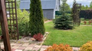 Сшила парник из спанбонда для огуречника.