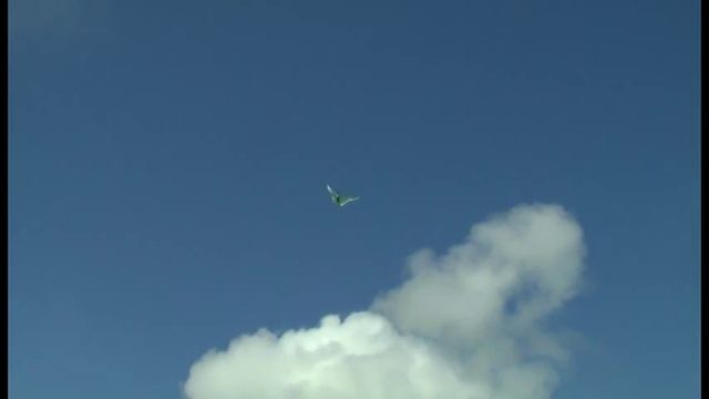 Pteranodon 9-8 Vtail Flight & Gliding смотреть онлайн