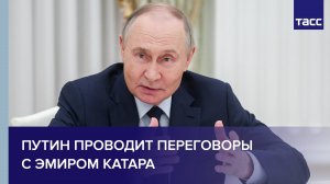 Путин проводит переговоры с эмиром Катара
