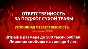 Пал травы