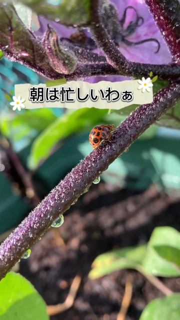 朝は忙しいわぁ！