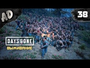 ОРДА С ГОРЫ БЕЙЛИ Прохождение Days Gone Жизнь После на Русском #38