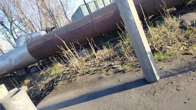 16 апреля 2025 г. Автобус 241 маршрут Волгабас 5270.G4 7107 Предпортовая Улица