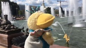 Руди на ВДНХ  Куда пойти в Москве с ребенком