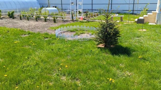 # 385. Украшаю участок цветами. Загородная жизнь с нуля 2024
