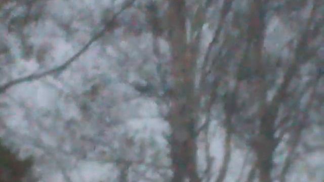 глухарь 3 смотреть онлайн