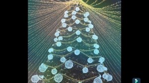 #Елкипогородумчаться #елки #новыйгод #сновымгодом #многоелок #елкивгороде #городскаяелка #городскиее