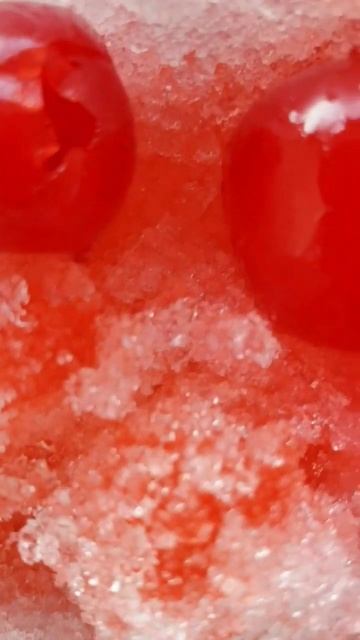 the secret history by donna tartt. ❤ how everyone unraveled in this book. #darkacademia #bookrec смотреть онлайн