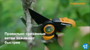 Секаторы Fiskars