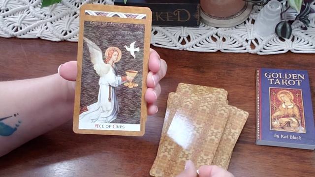 The Golden Tarot By Kat Black Unboxing