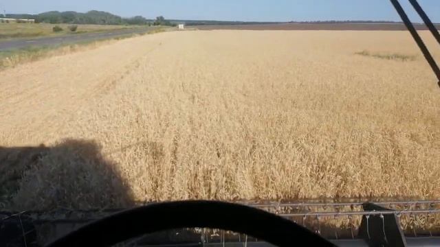 Обкос пшеницы на 65 ке от 11 07 2020 смотреть онлайн