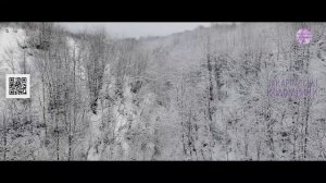 💯Закарпатські коломийки.❄️ гурт Золота Підкова – Скрипка  ❄️ #коломийка