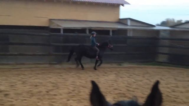 Галоп без седла смотреть онлайн