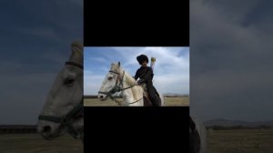 "Мчится конь подо мной"